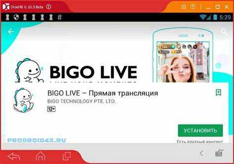 что представляет собой bigo live?