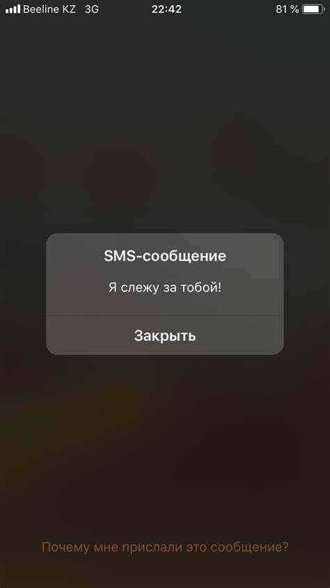 дополнительные меры защиты