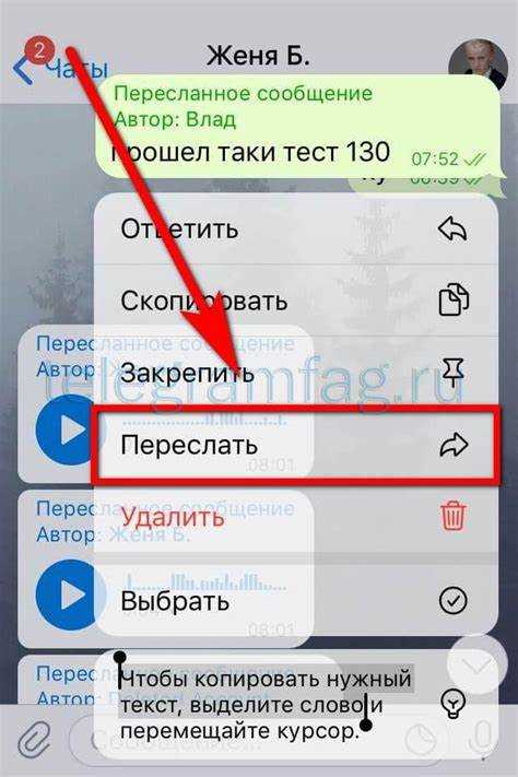 использование мультимедийных файлов