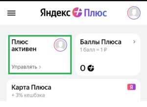 что такое яндекс плюс 5815?